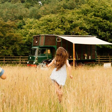 Abbeyfield Horsebox Glamping Hotell Morpeth Eksteriør bilde