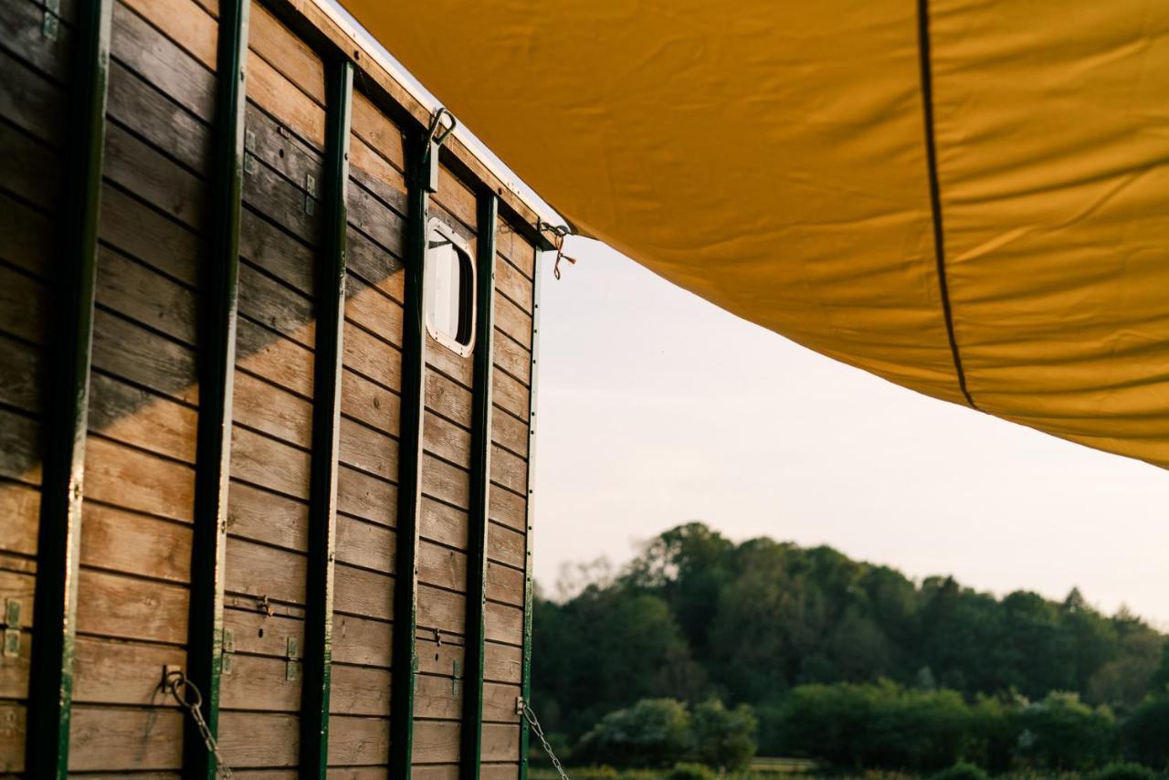 Abbeyfield Horsebox Glamping Hotell Morpeth Eksteriør bilde