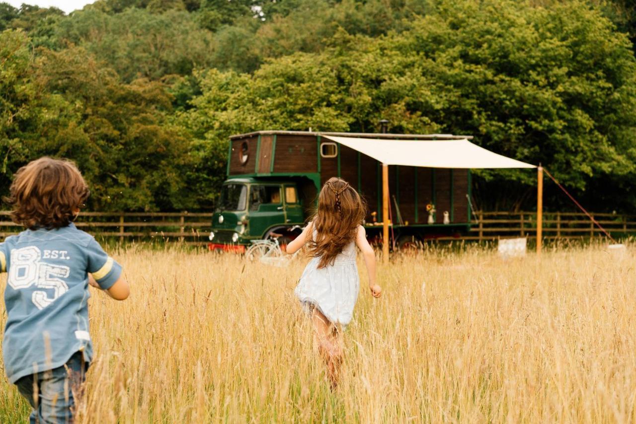 Abbeyfield Horsebox Glamping Hotell Morpeth Eksteriør bilde